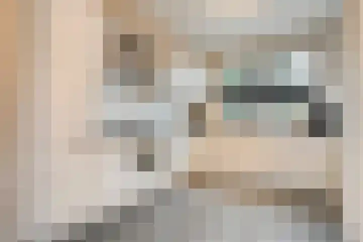 Oosterveen 8 Raalte thumbnail 16
