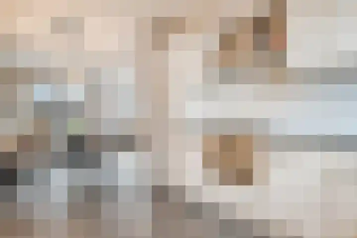 Oosterveen 8 Raalte thumbnail 17