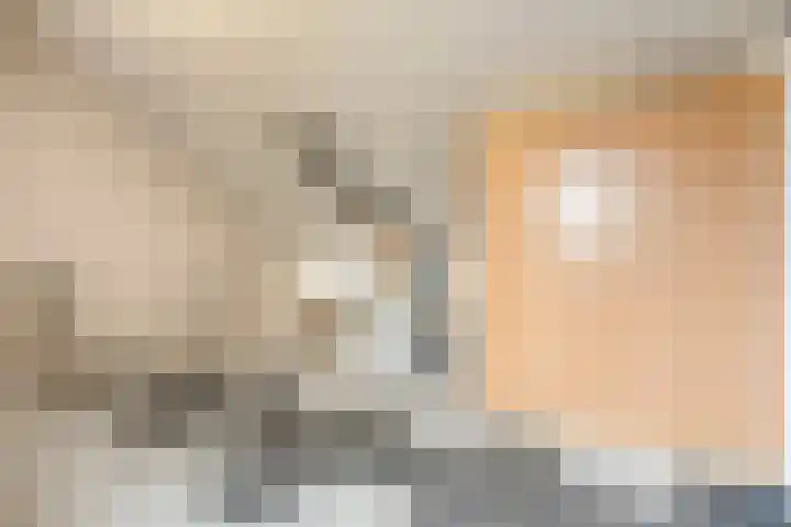 Oosterveen 8 Raalte thumbnail 31