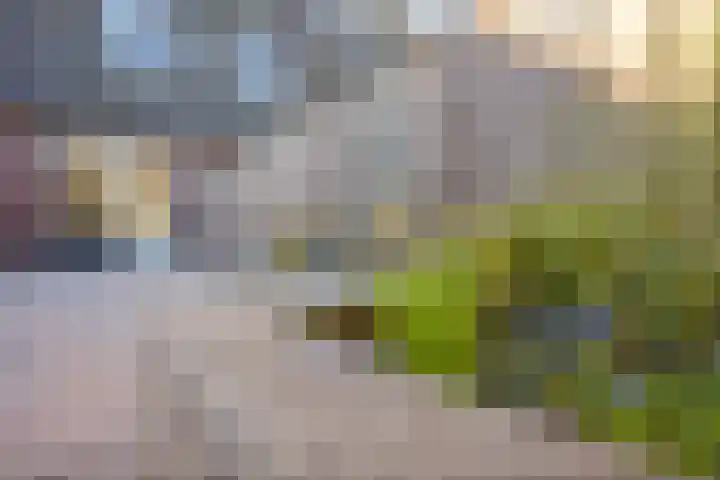 Oosterveen 8 Raalte thumbnail 37