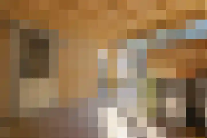 Oosterveen 8 Raalte thumbnail 40