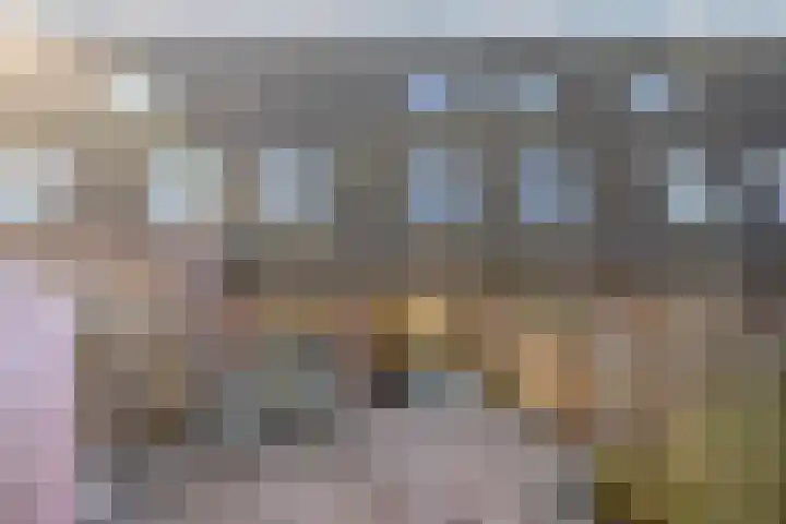 Oosterveen 8 Raalte thumbnail 41