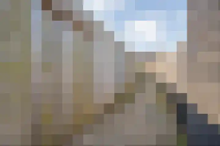 Oosterveen 8 Raalte thumbnail 42