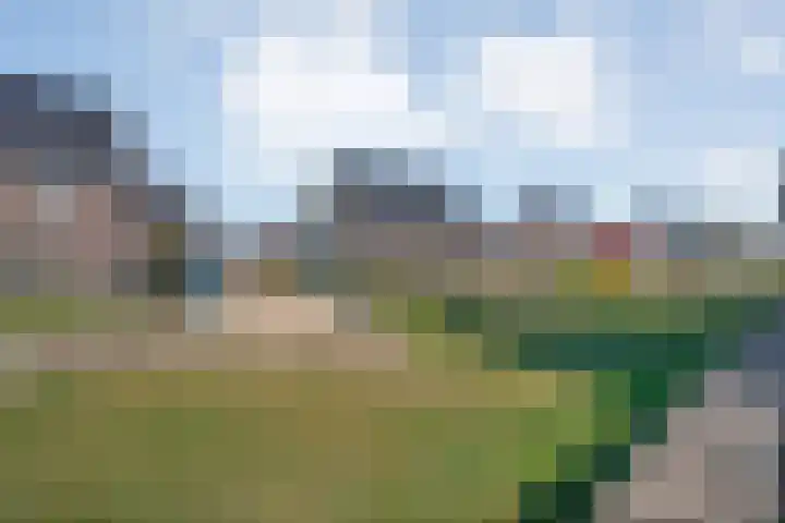 Oosterveen 8 Raalte thumbnail 43