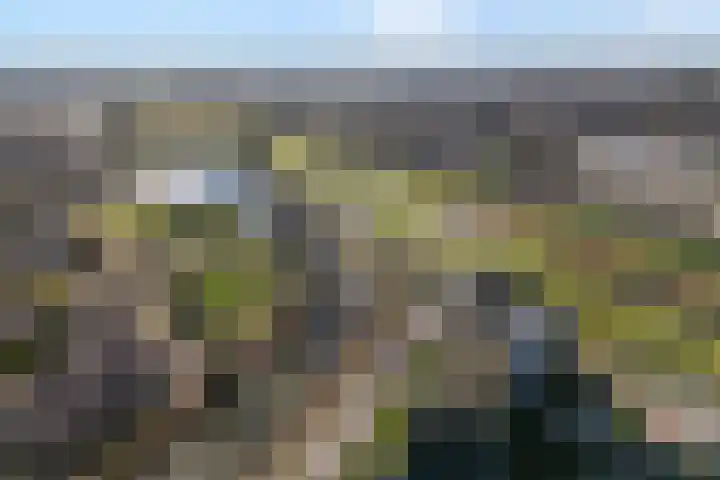 Oosterveen 8 Raalte thumbnail 44