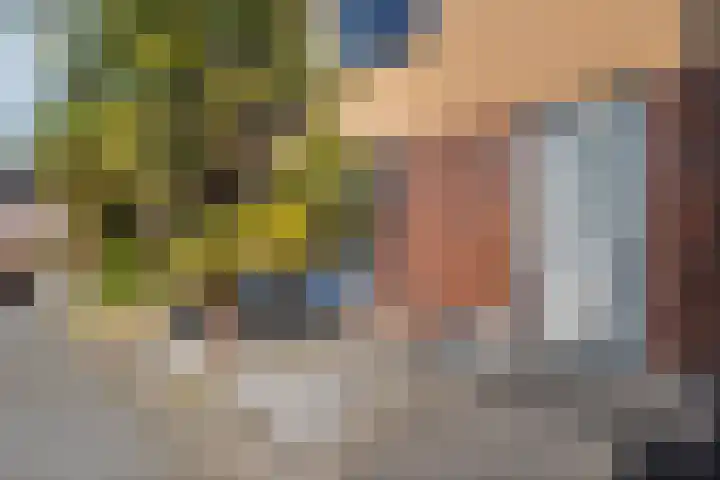 Oosterveen 8 Raalte thumbnail 47