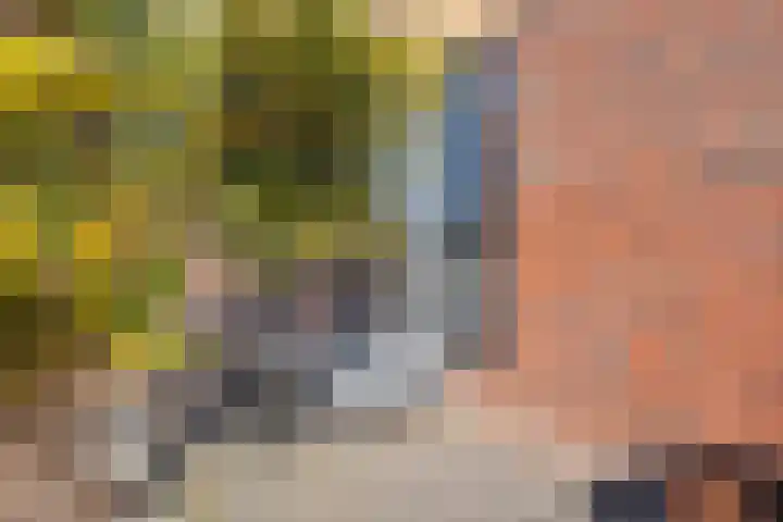 Oosterveen 8 Raalte thumbnail 48