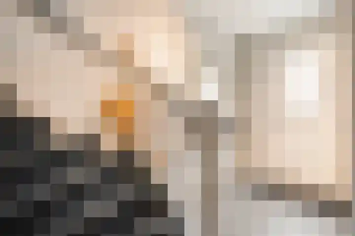 Oosterveen 8 Raalte thumbnail 6