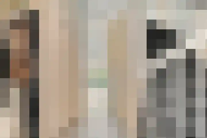 Oosterveen 8 Raalte thumbnail 8