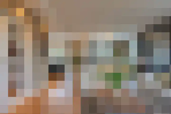 Oostervelden 28 Bemmel thumbnail 11