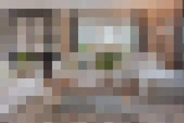 Oostervelden 28 Bemmel thumbnail 13