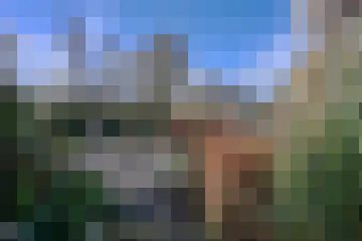 Oostervelden 28 Bemmel thumbnail 68