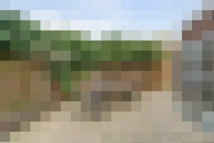 Oostervelden 65 Bemmel thumbnail 32