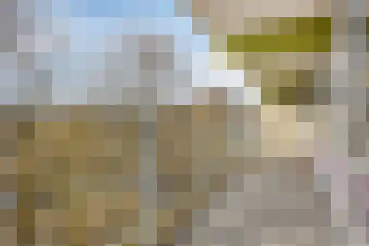 Oostervenne 352 Purmerend thumbnail 37