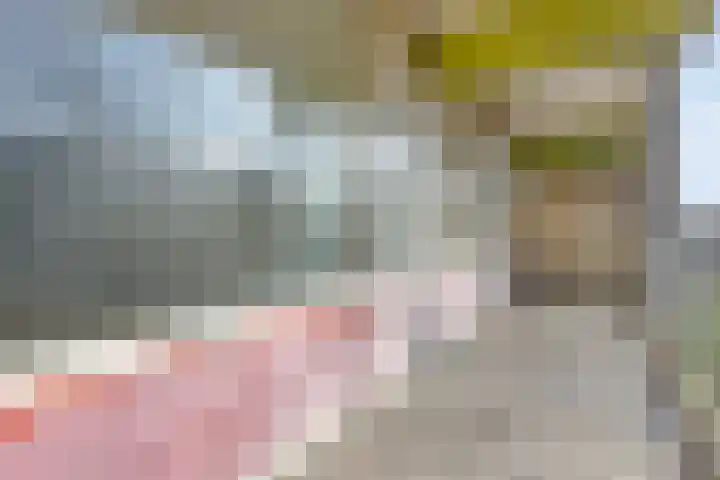 Oostervenne 352 Purmerend thumbnail 38