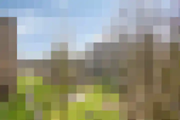 Oostervenne 352 Purmerend thumbnail 39