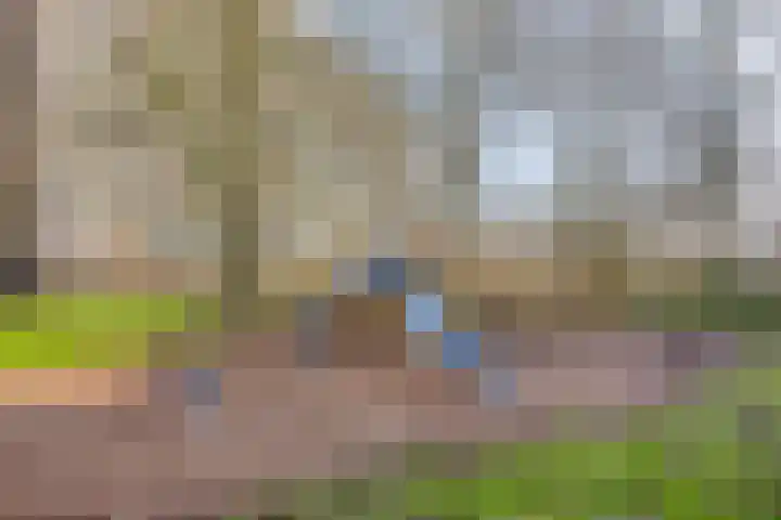 Oostervenne 352 Purmerend thumbnail 42