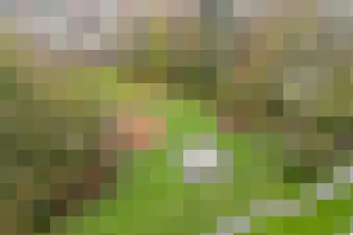 Oostervenne 400 Purmerend thumbnail 28