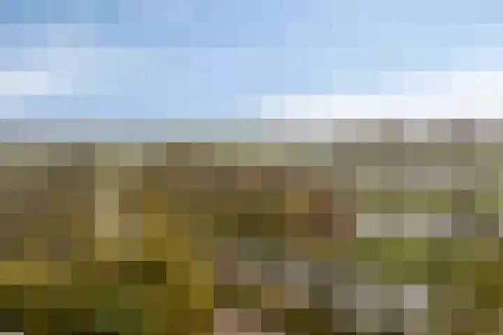 Oostervenne 400 Purmerend thumbnail 9