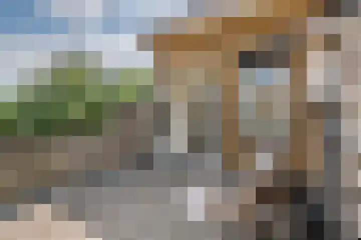 Oosterwal 52 Culemborg thumbnail 17