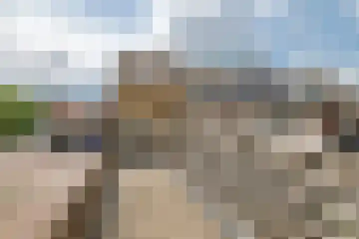 Oosterwal 52 Culemborg thumbnail 21