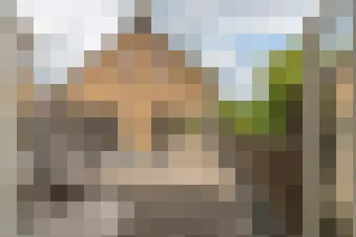 Oosterwal 52 Culemborg thumbnail 22