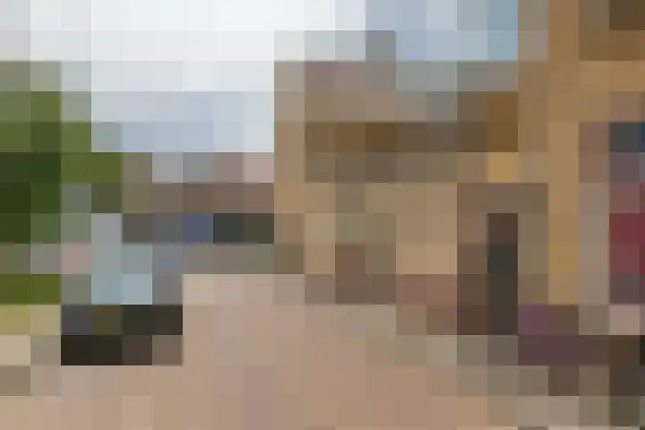 Oosterwal 52 Culemborg thumbnail 27