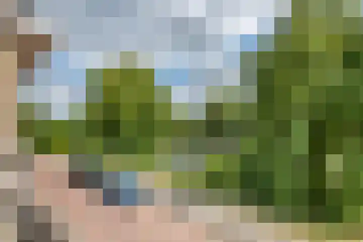 Oosterwal 52 Culemborg thumbnail 29