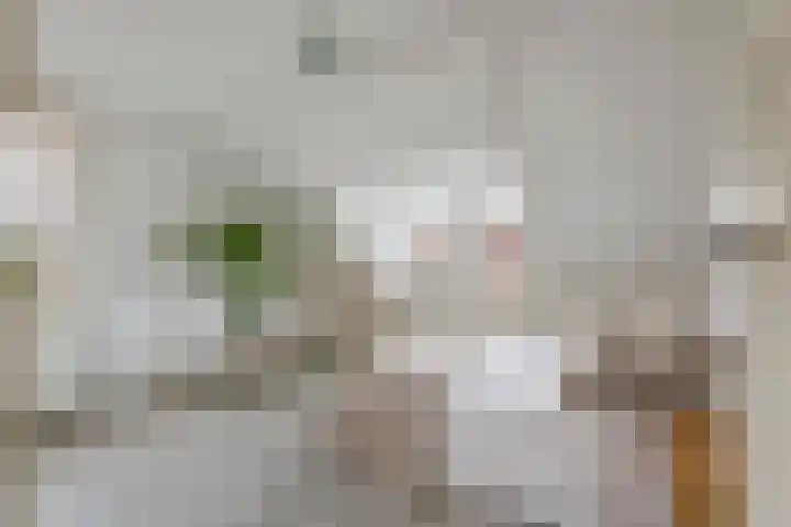 Oosterwal 52 Culemborg thumbnail 33