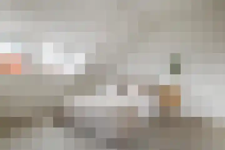 Oosterwal 52 Culemborg thumbnail 34