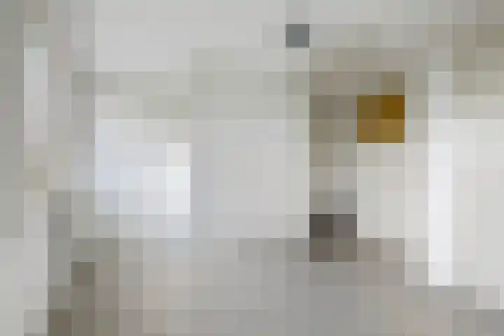 Oosterwal 52 Culemborg thumbnail 37