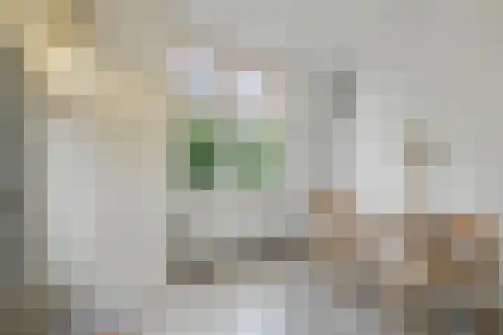 Oosterwal 52 Culemborg thumbnail 5