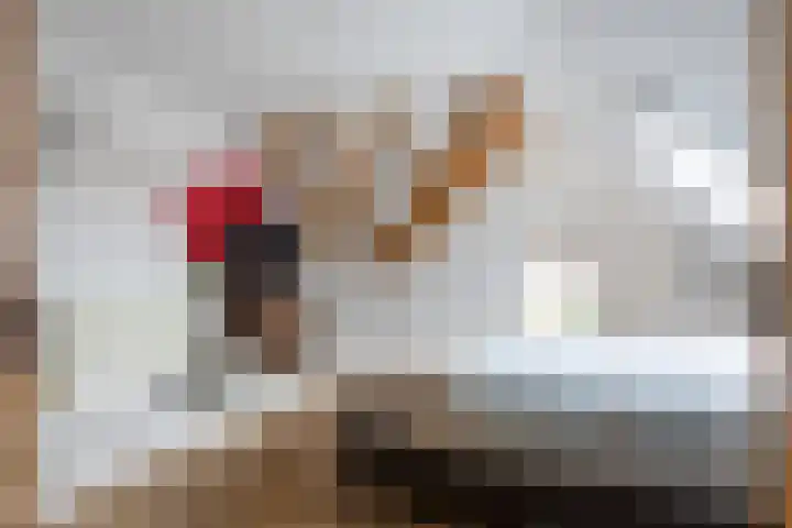 Oosterweg 1 Den Andel thumbnail 35