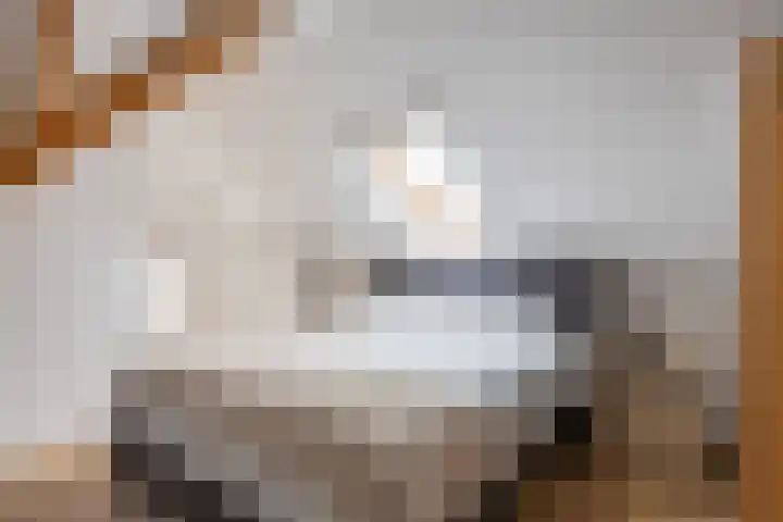 Oosterweg 1 Den Andel thumbnail 36