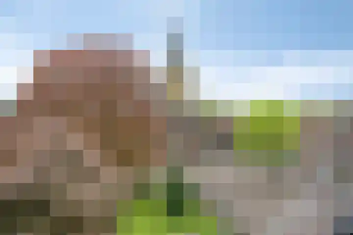 Oosterweg 33 Wijchen thumbnail 9