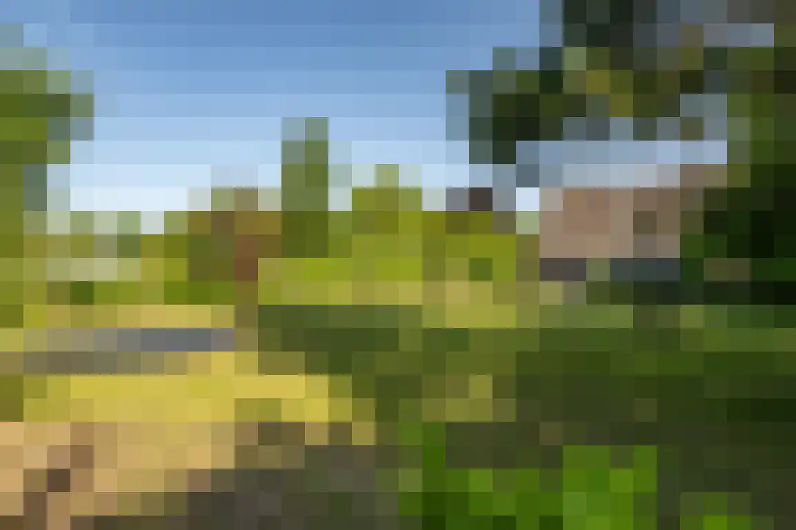 Oosterweg 59 Ouddorp thumbnail 36