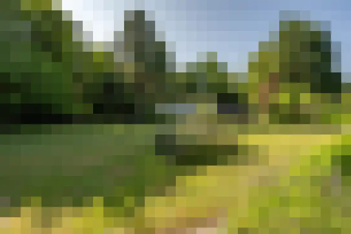 Oosterweg 59 Ouddorp thumbnail 38