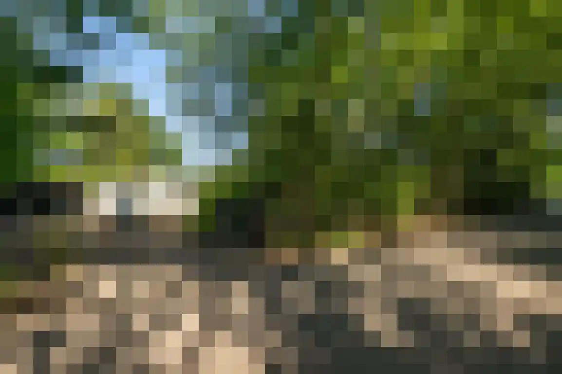 Oosterweg 59 Ouddorp thumbnail 41