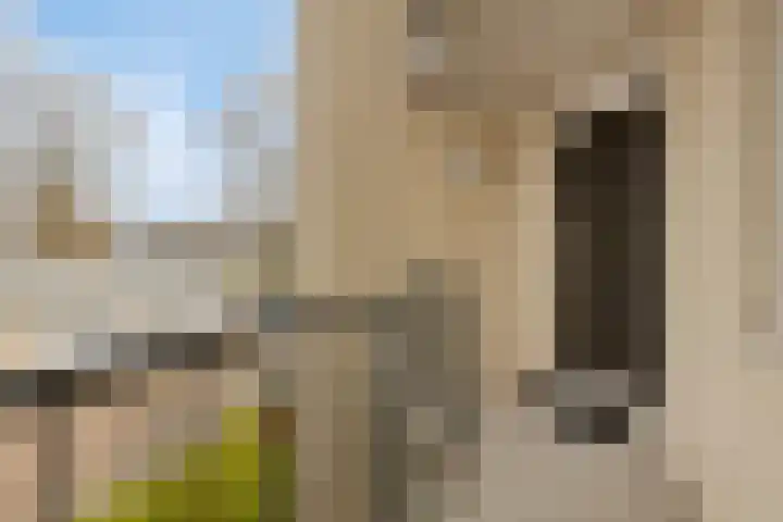Oosterweide 79 Castricum thumbnail 10
