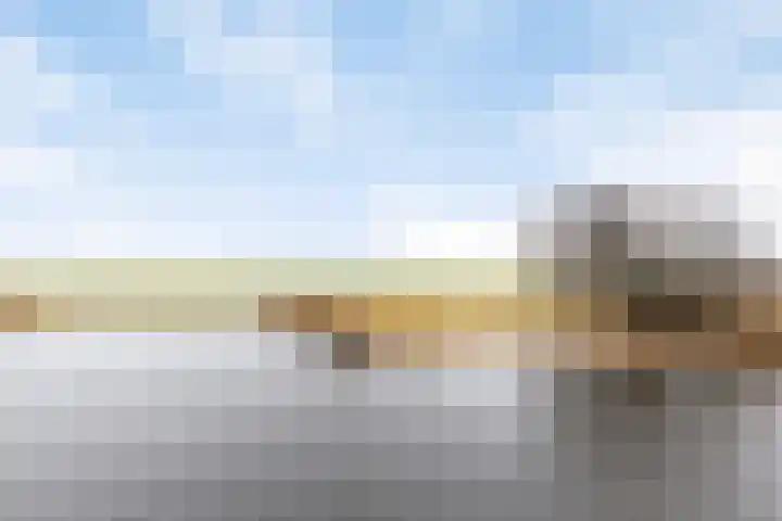 Oosterweide 79 Castricum thumbnail 30