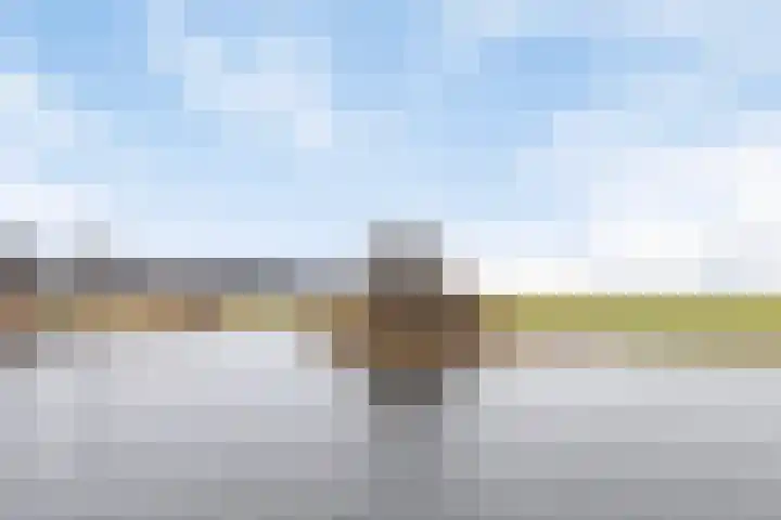 Oosterweide 79 Castricum thumbnail 31