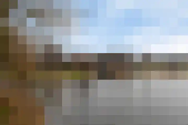 Oosterweide 79 Castricum thumbnail 32