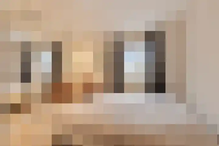 Oosterweide 79 Castricum thumbnail 37