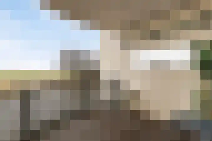 Oosterweide 79 Castricum thumbnail 4