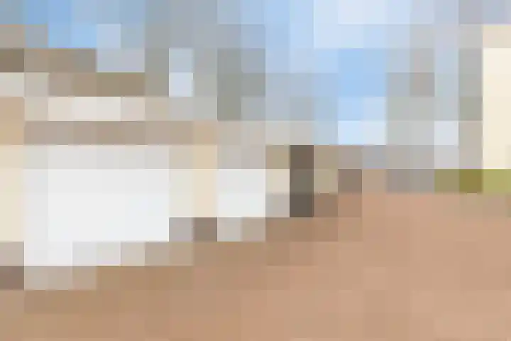 Oosterweide 79 Castricum thumbnail 45