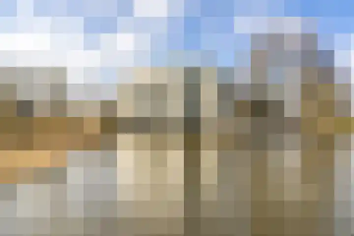 Oosterweide 79 Castricum thumbnail 5