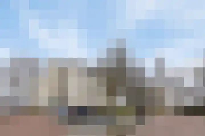 Oosterweide 79 Castricum thumbnail 6