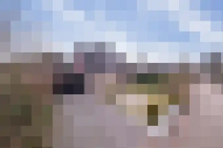 Oosterzoom 10 Peize