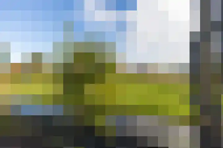 Oostgraftdijk 9 Oost-Graftdijk thumbnail 40