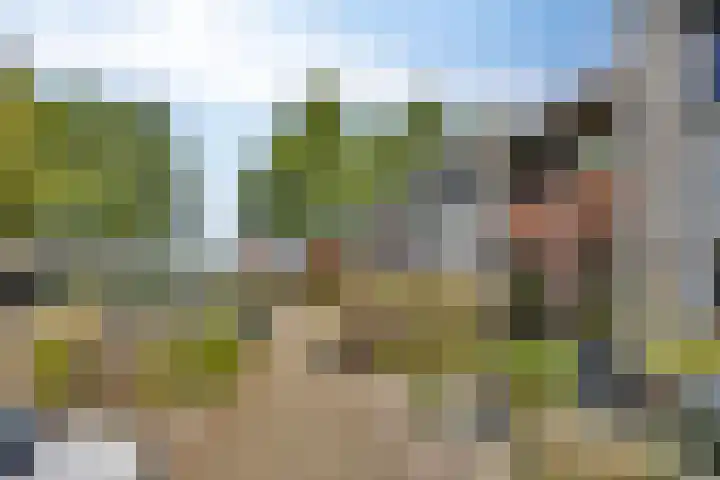 Oosthaag 63 Oss thumbnail 25